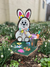 Load image into Gallery viewer, AHP Program Spring Bunnies
